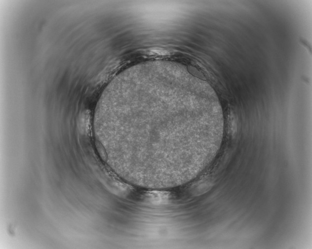 X0000101450328200808041024