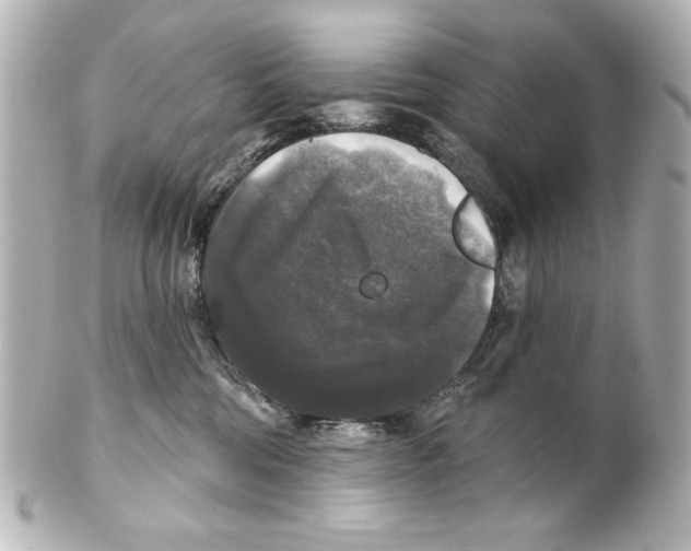 X0000101450330200808041024