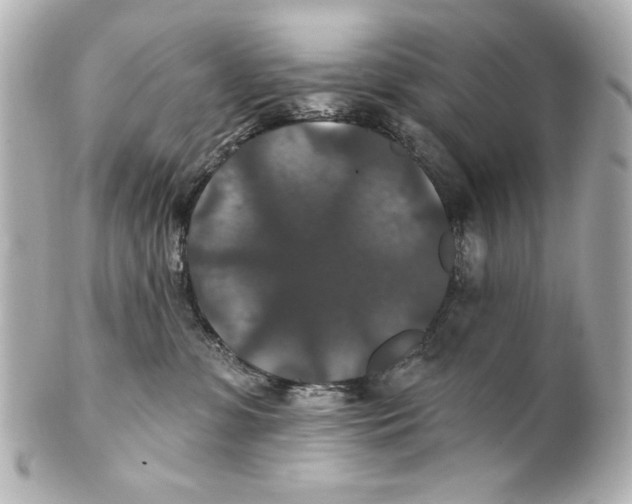 X0000101450331200808041024