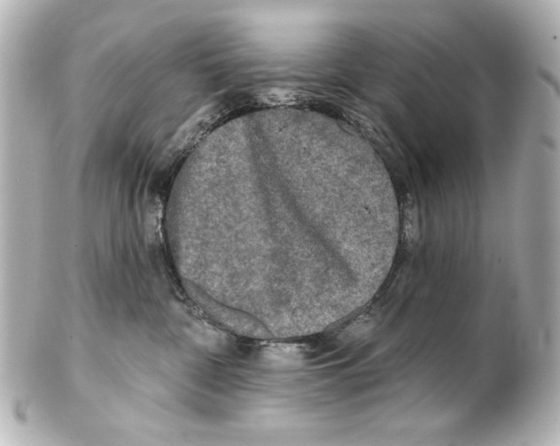 X0000101450332200808041024