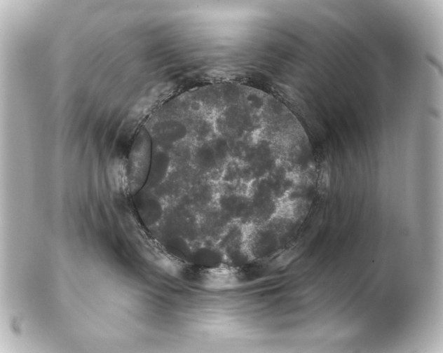 X0000101450335200808041024