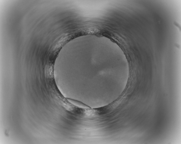 X0000101450336200808041024