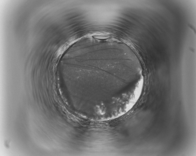 X0000101450337200808041024