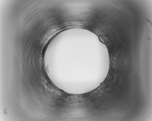 X0000101450338200808041024