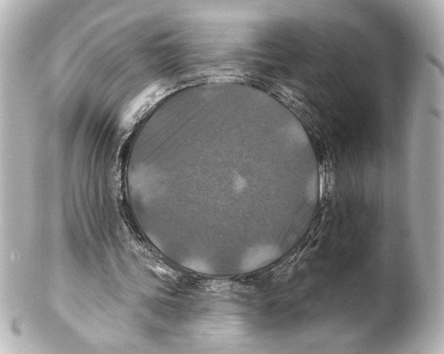 X0000101450339200808041024