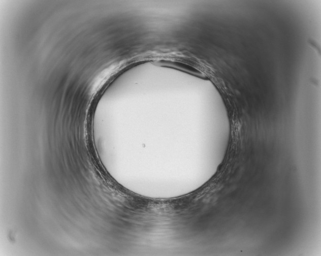 X0000101450340200808041024