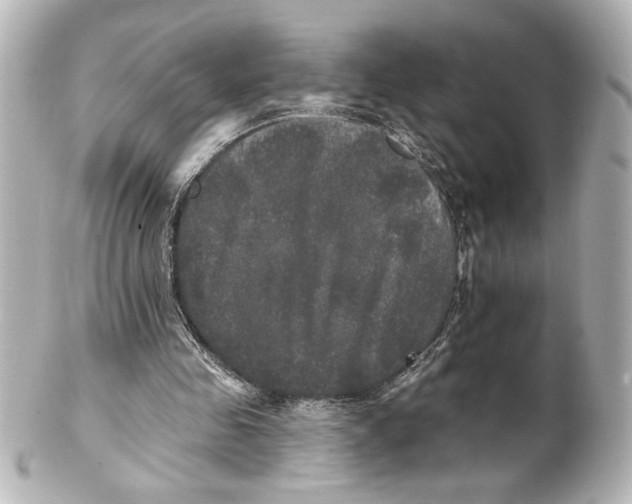 X0000101450341200808041024