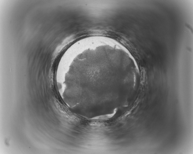 X0000101450343200808041024