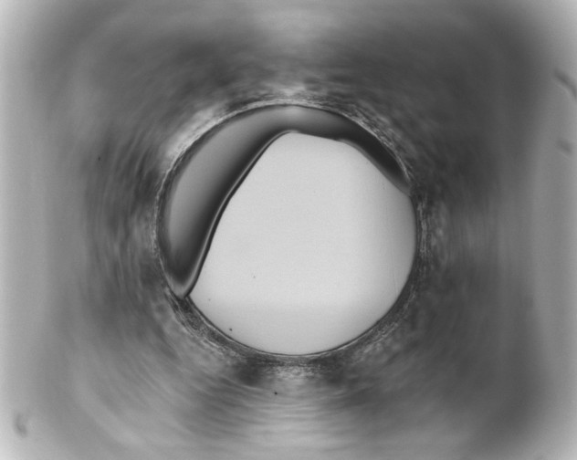 X0000101450344200808041024