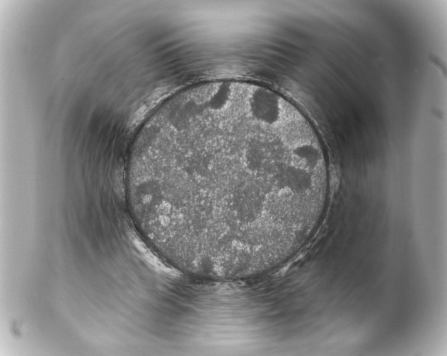 X0000101450345200808041024