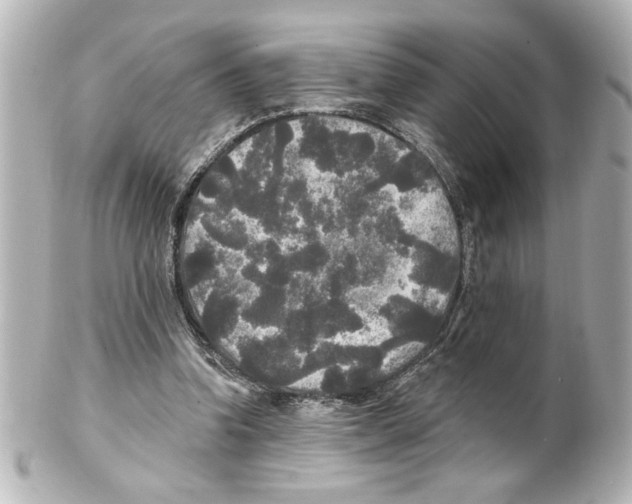 X0000101450346200808041024