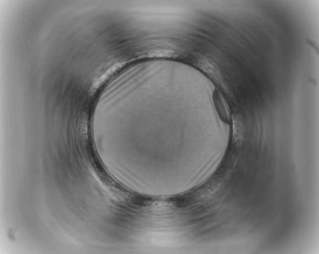 X0000101450348200808041024