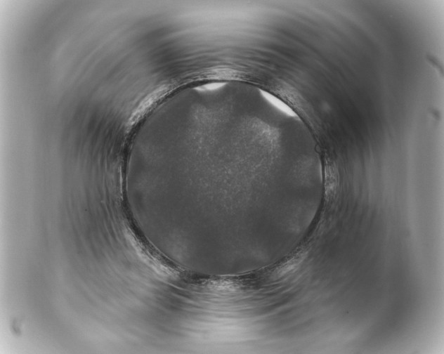 X0000101450349200808041024