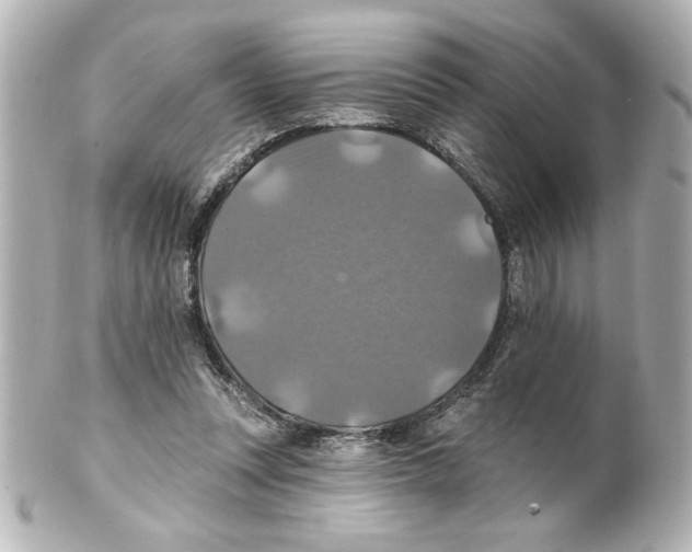 X0000101450351200808041024