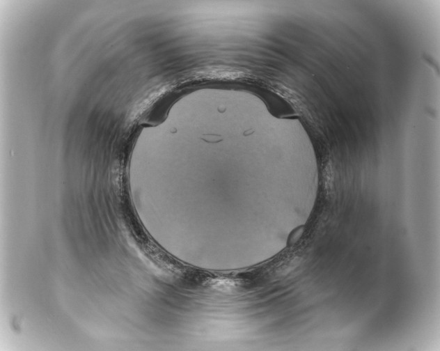 X0000101450352200808041024