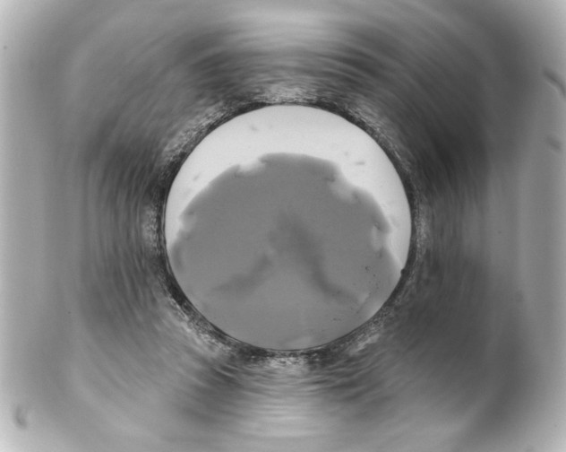 X0000101450353200808041024