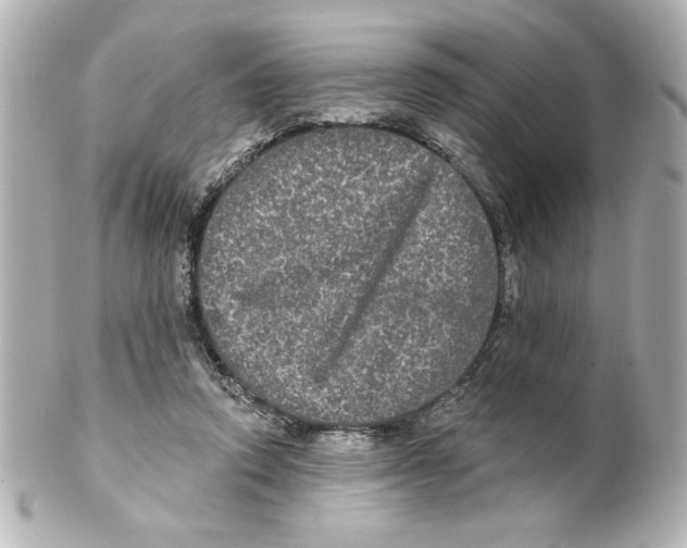 X0000101450354200808041024