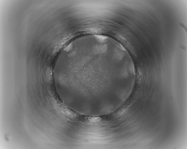 X0000101450355200808041024