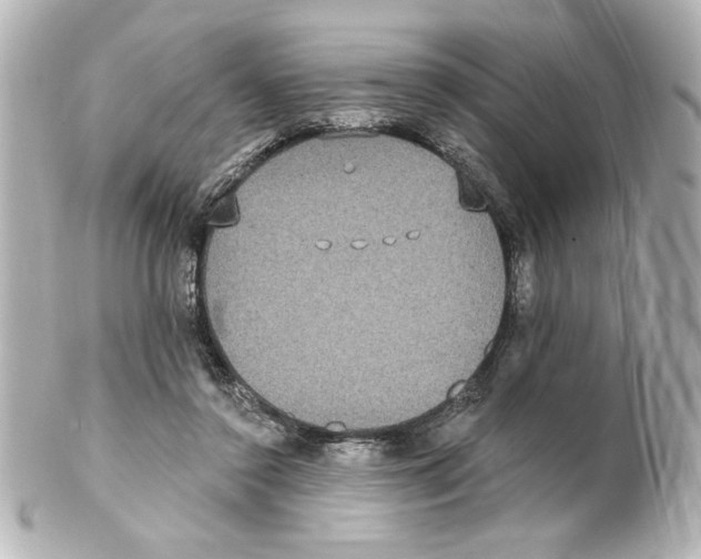 X0000101450356200808041024