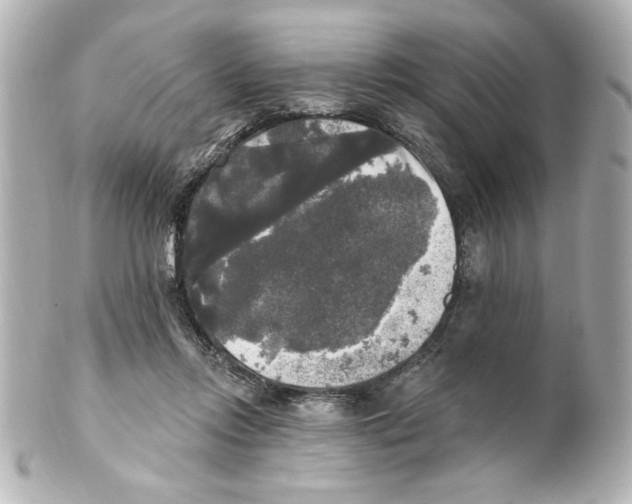 X0000101450358200808041024