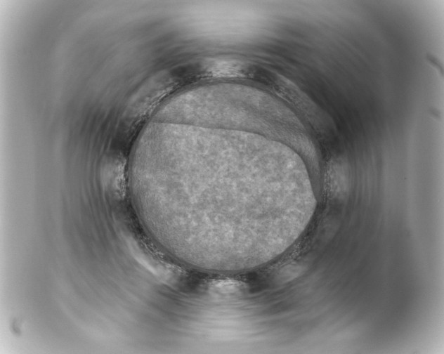 X0000101450360200808041024