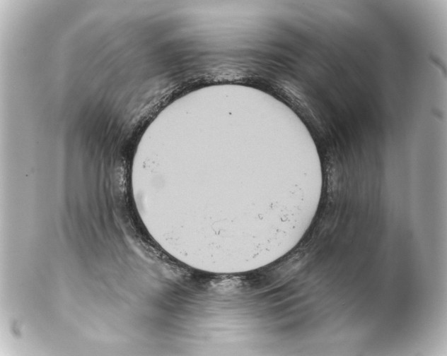 X0000101450362200808041024