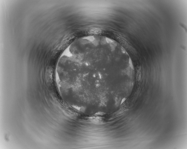 X0000101450363200808041024