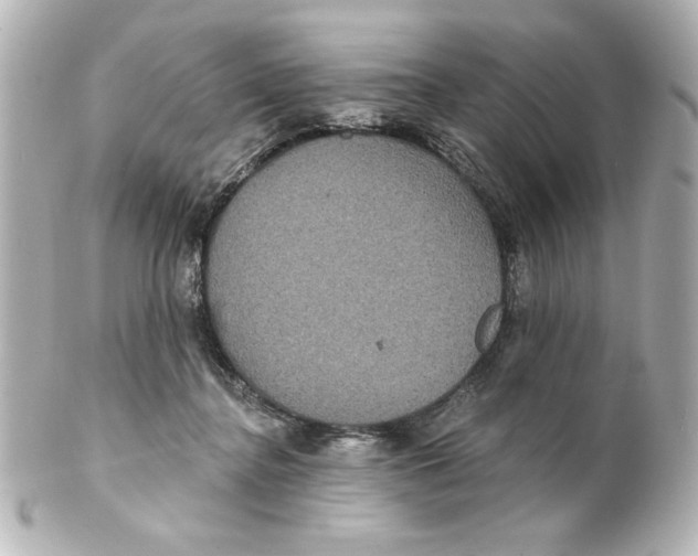 X0000101450364200808041024