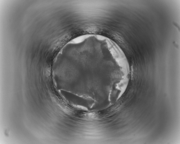 X0000101450365200808041024