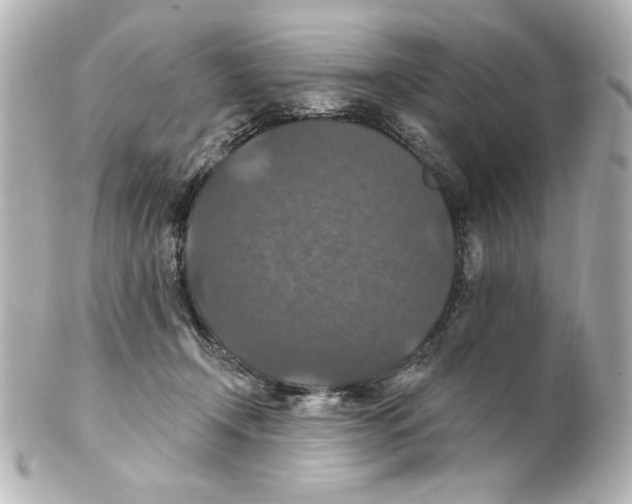 X0000101450366200808041024