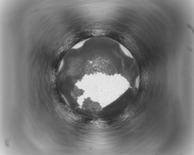 X0000101450367200808041024