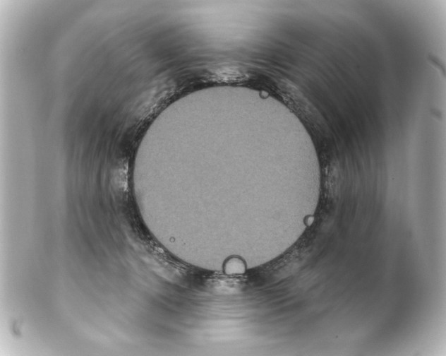 X0000101450368200808041024