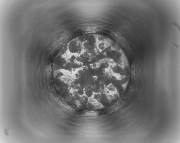 X0000101450369200808041024