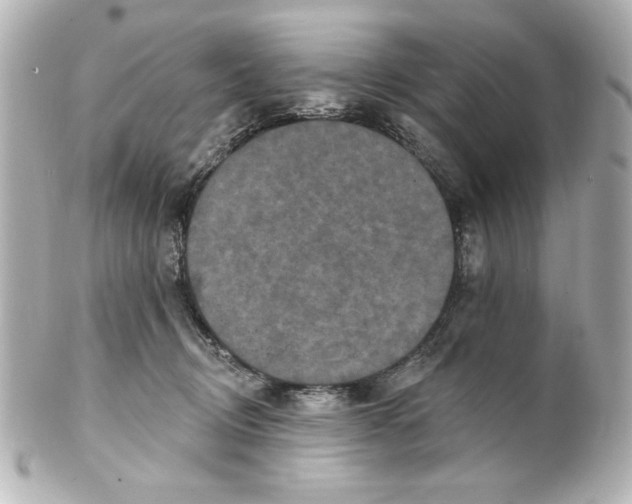 X0000101450370200808041024