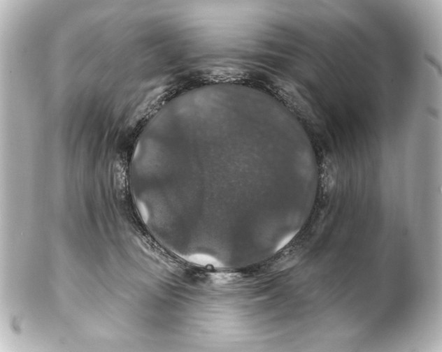 X0000101450371200808041024