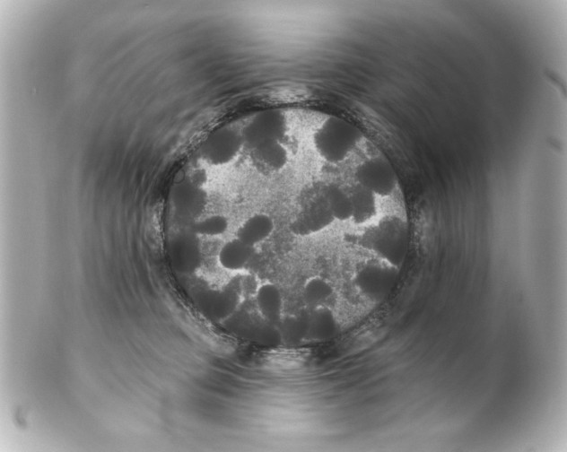 X0000101450373200808041024