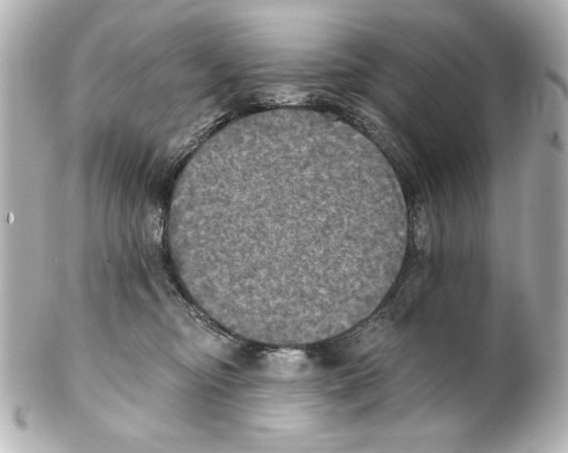 X0000101450374200808041024