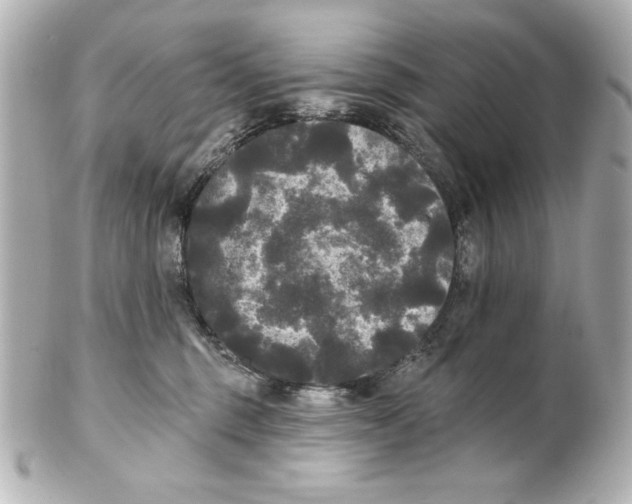 X0000101450375200808041024