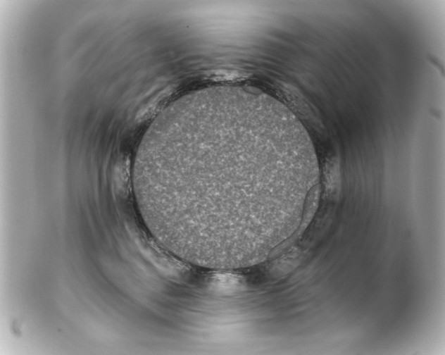 X0000101450376200808041024