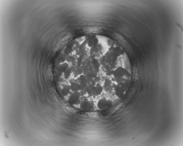 X0000101450377200808041024