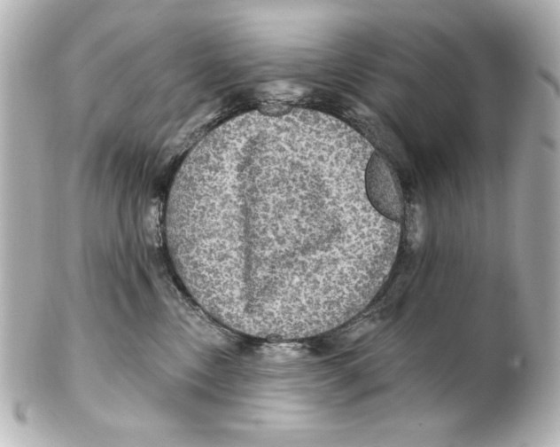 X0000101450378200808041024