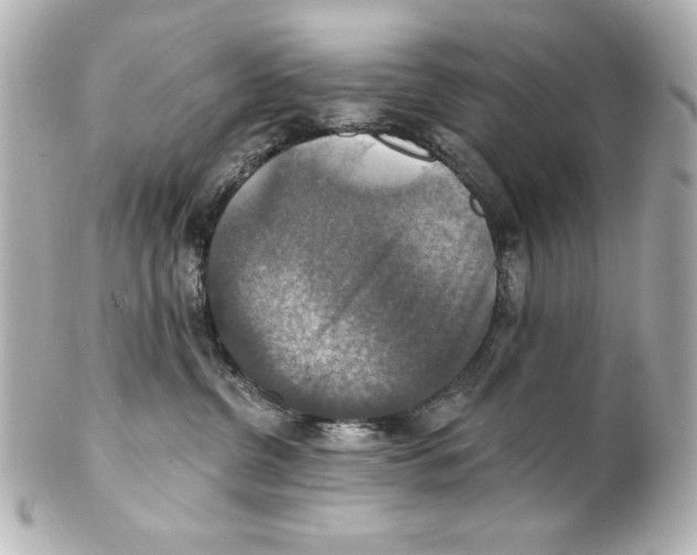 X0000101450380200808041024