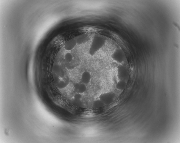 X0000101450381200808041024