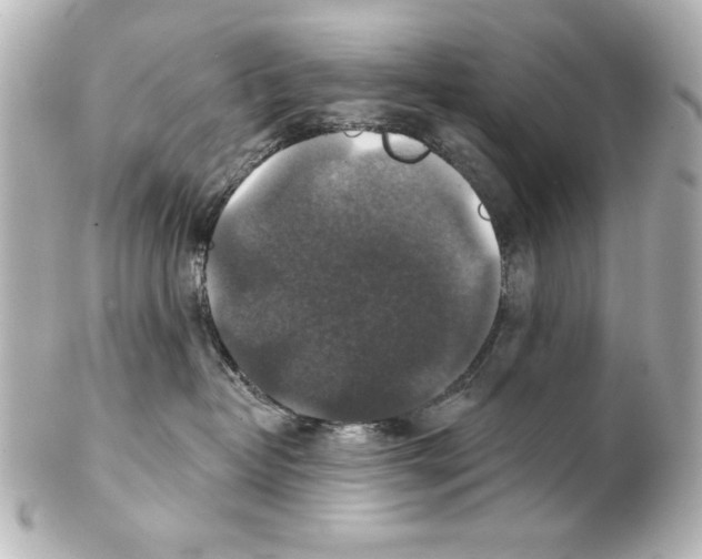 X0000101450382200808041024