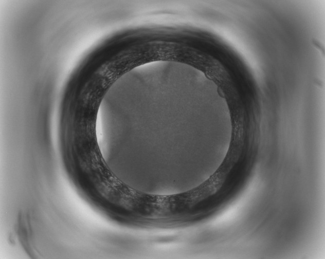 X0000101450383200808041024