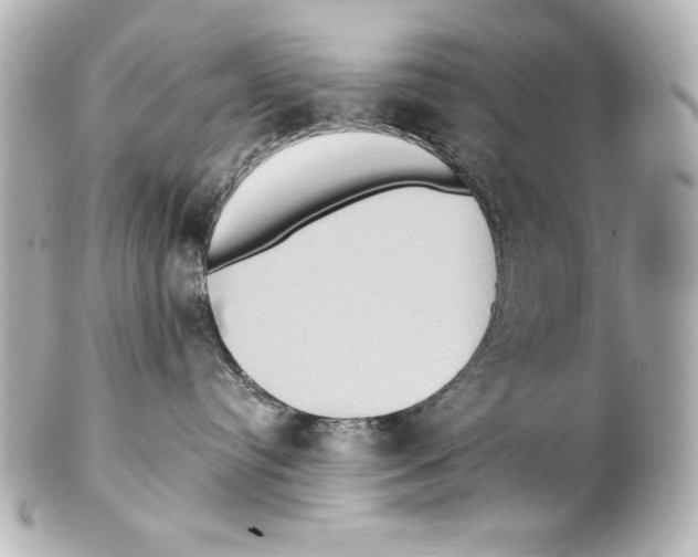 X0000101450384200808041024