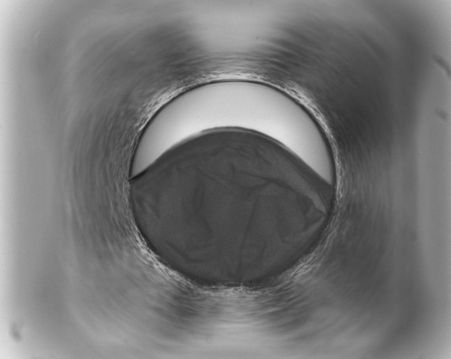 X0000101450385200808041024