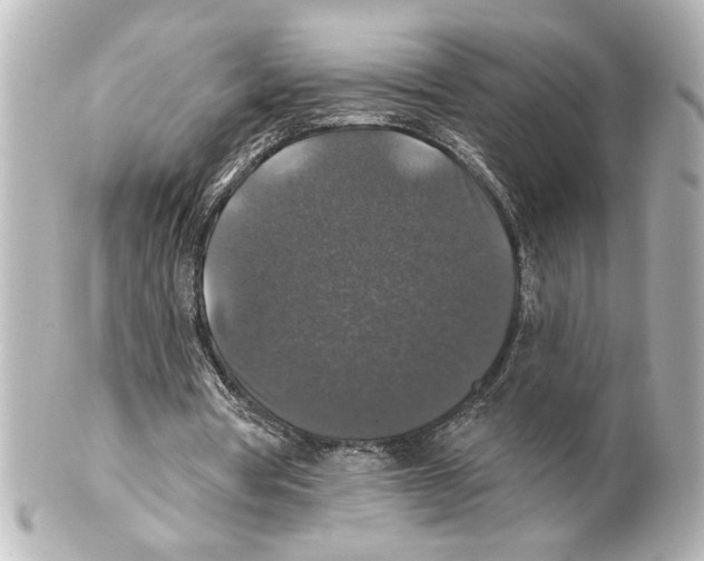 X0000101450386200808041024