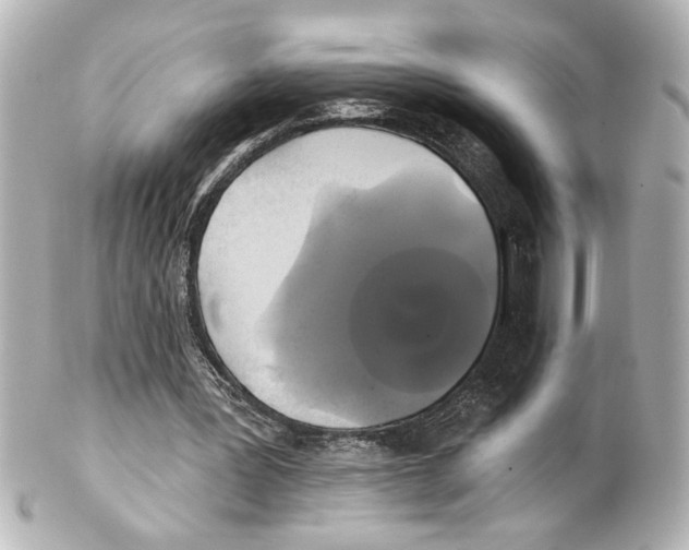 X0000101450387200808041024