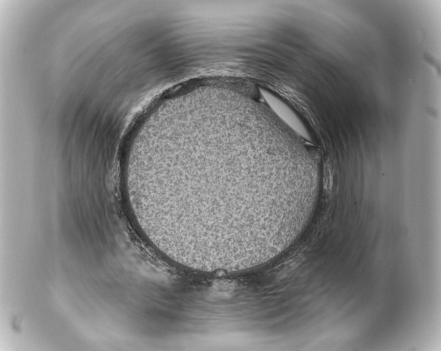 X0000101450388200808041024